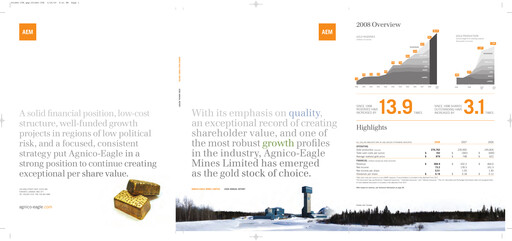 Miniature Agnico Eagle Mines Rapport annuel 2008